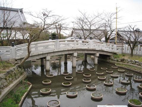 くろ谷 金戒光明寺 紫雲墓地
