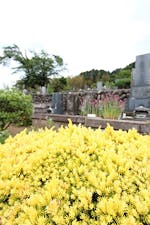 毛呂山霊園の画像