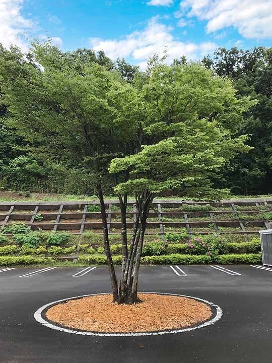 町田こもれびの杜霊苑