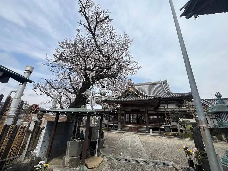 せせらぎ霊園 境内