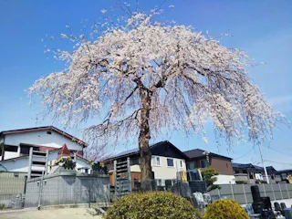 岩切ひだまりの丘妙運寺墓地