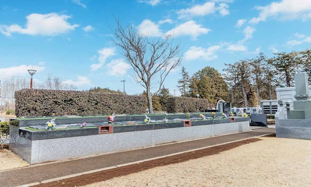 小さな森の樹木葬　つくば