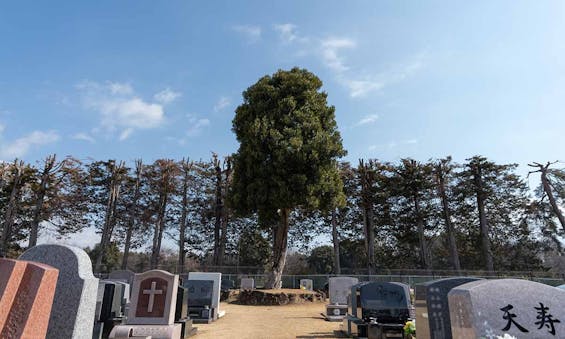 小さな森の樹木葬 つくば