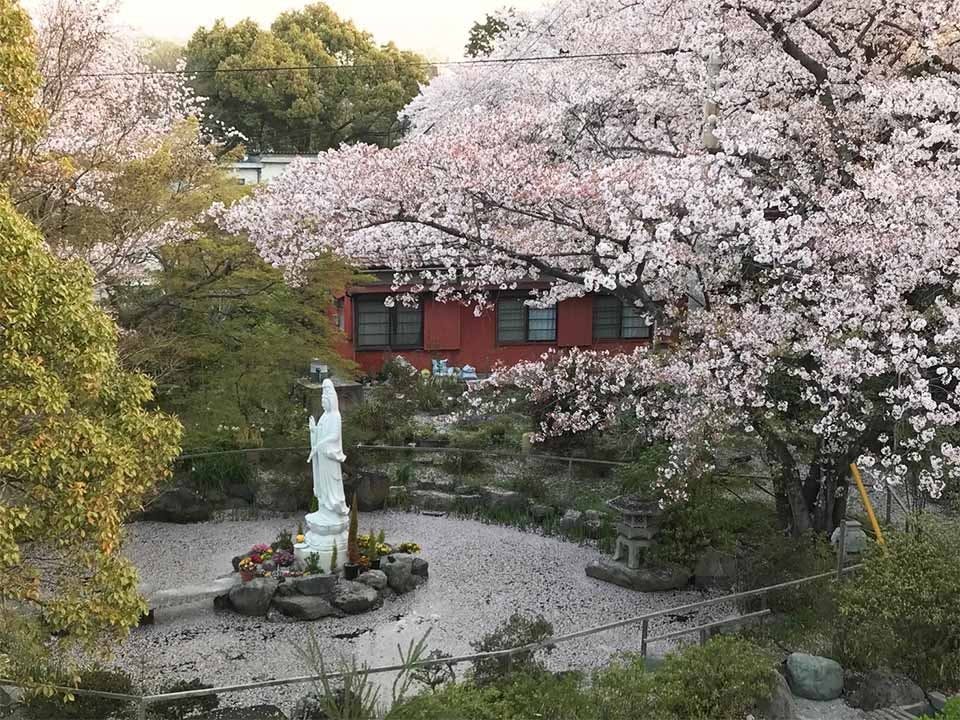 徳林寺 永代供養＆樹木葬