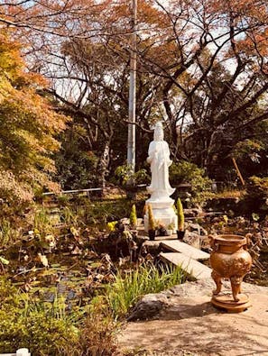 徳林寺 永代供養&樹木葬