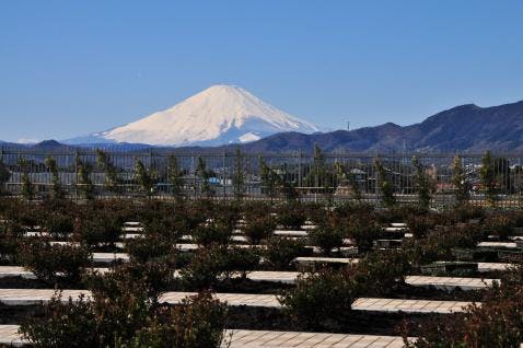 平塚中央霊園Ⅱ