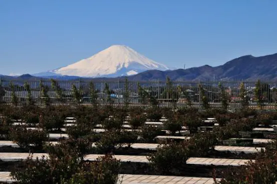 平塚中央霊園Ⅱ
