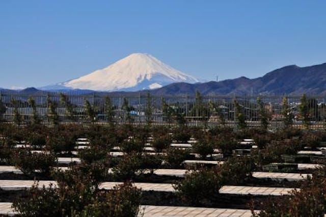 平塚中央霊園Ⅱ