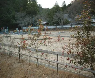 華光寺霊苑