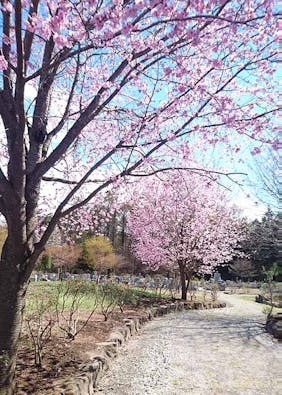 西軽井沢 向原霊園