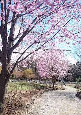 西軽井沢 向原霊園