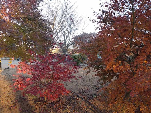 西軽井沢 向原霊園