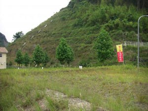 上川共同墓地の画像