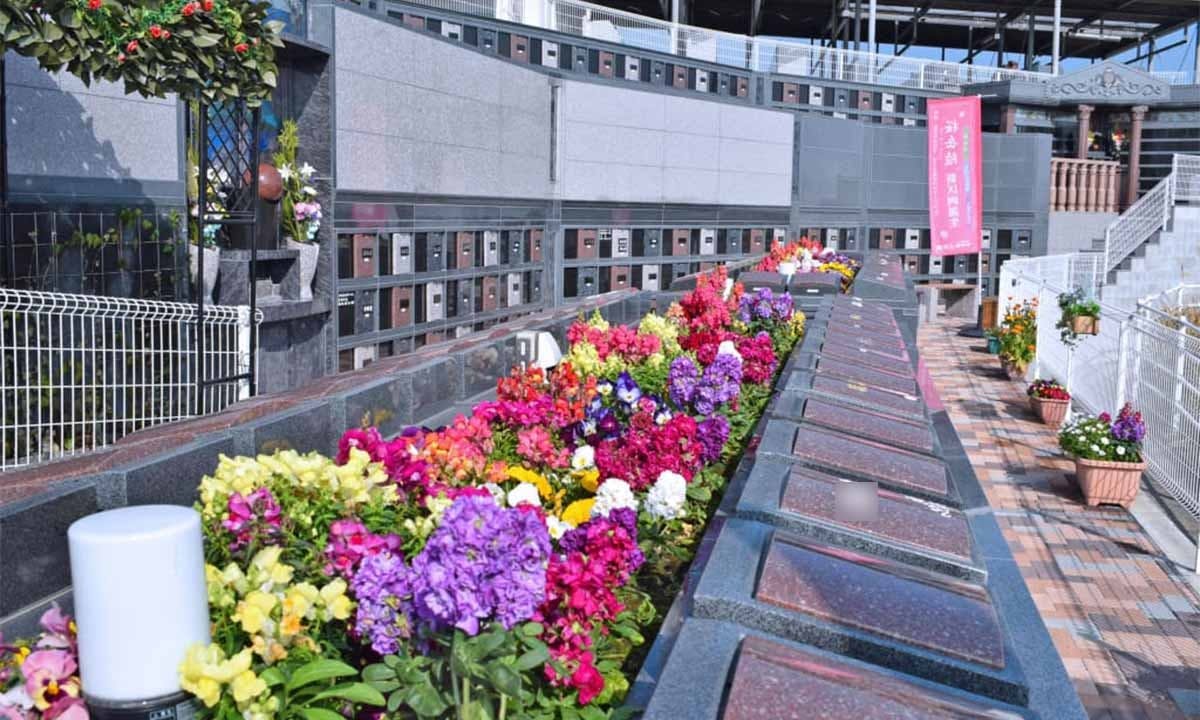 新生田上霊園田上霊場(鹿児島県鹿児島市)の概要・価格・アクセス