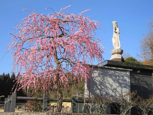 やすらぎ霊園 竹中墓地