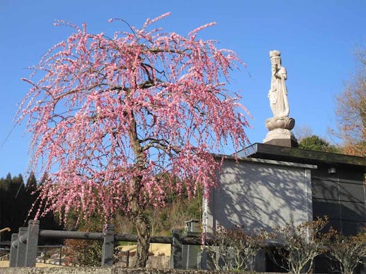 やすらぎ霊園 竹中墓地