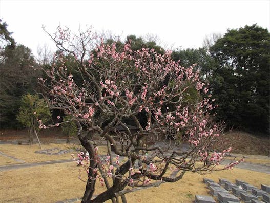 やすらぎ霊園 竹中墓地