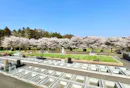 日光・杉並木墓苑『樹木葬』