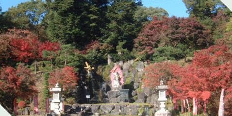 墓地、墓 譲ります。那須塩原市