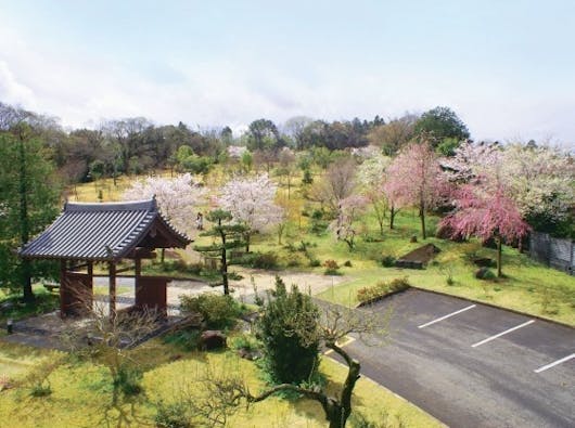 真光寺 里山の樹木葬