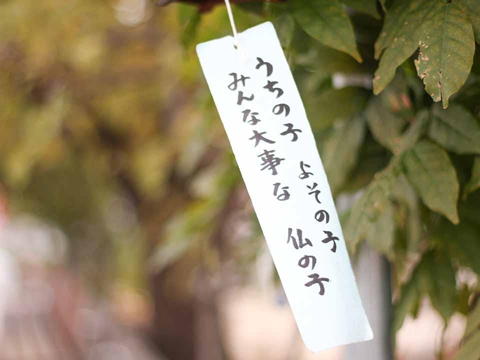 東江寺 多田薬師