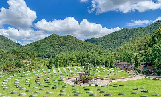和田寺霊園 一般墓・樹木葬