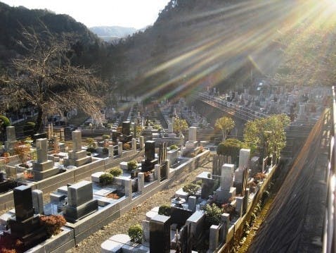 春泉寺 高尾霊園の画像