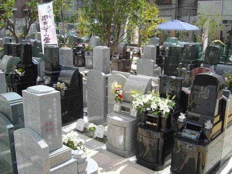 林泉寺墓苑の画像