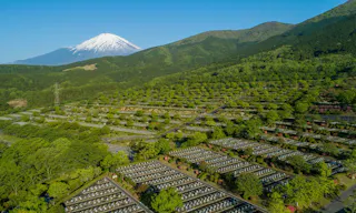 冨士霊園