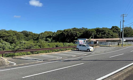 旭ヶ丘霊園 樹木葬「神樹の丘」