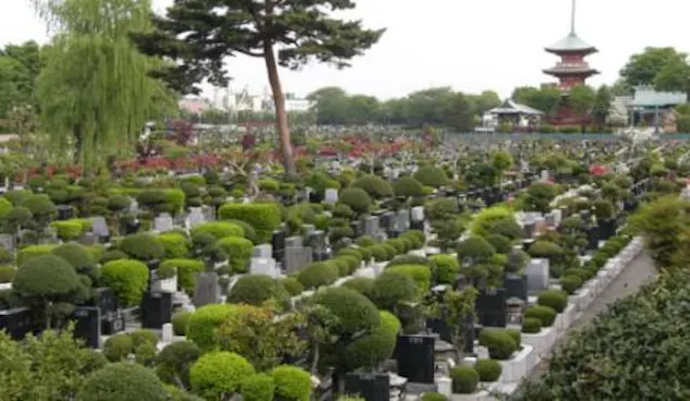 青葉園