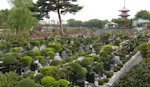 青葉園