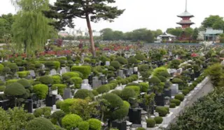 青葉園