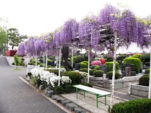 青葉園