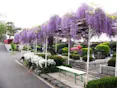 青葉園