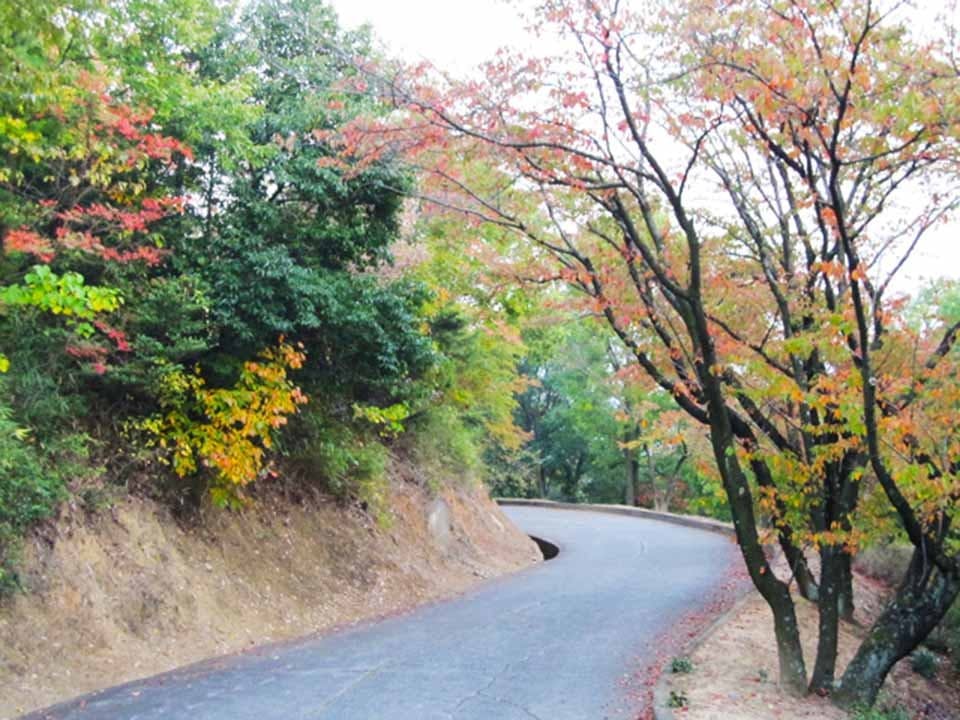 蔵王霊苑 苑内風景