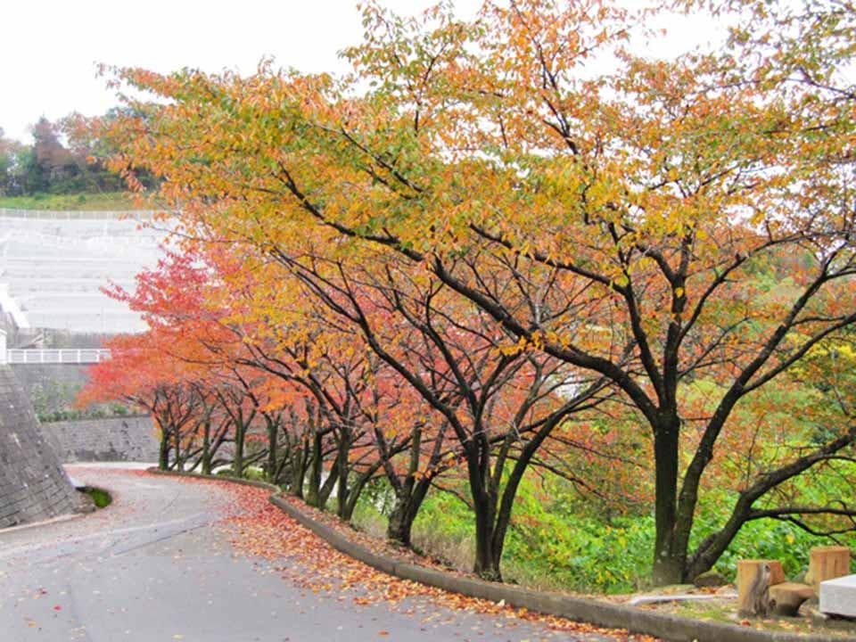 蔵王霊苑 苑内風景