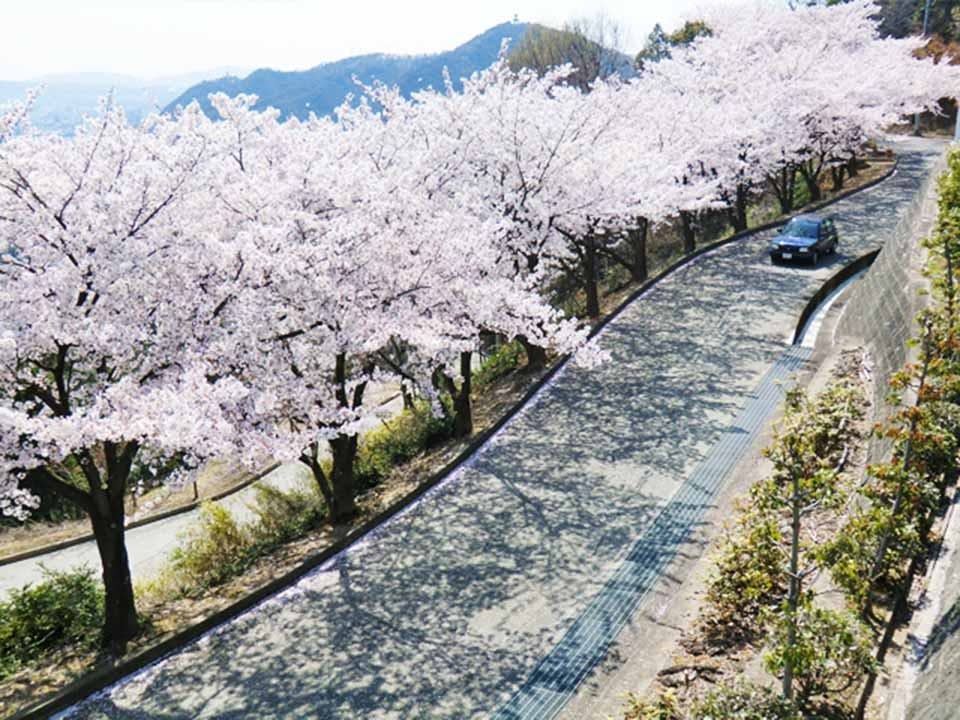 蔵王霊苑 苑内風景