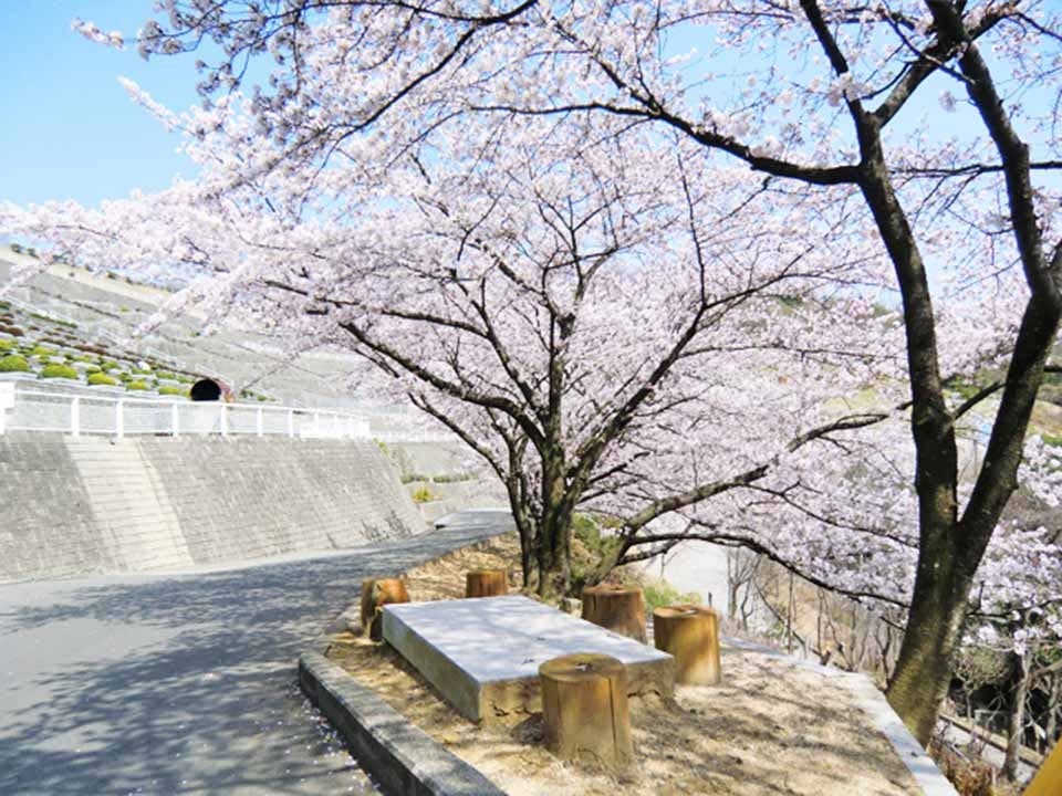 蔵王霊苑 苑内風景