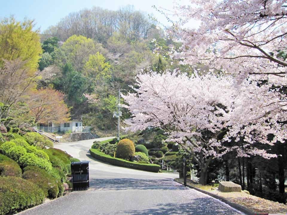 蔵王霊苑 苑内風景