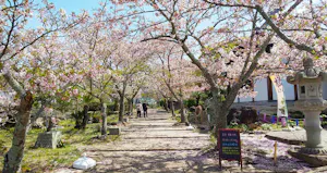 道後聖墓苑(松山市)の霊園・墓地