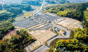 枚方紫峰霊苑(枚方市)の永代供養墓