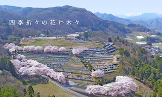 上毛高原メモリアルパーク