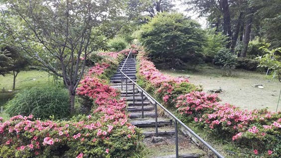 千の風みらい園