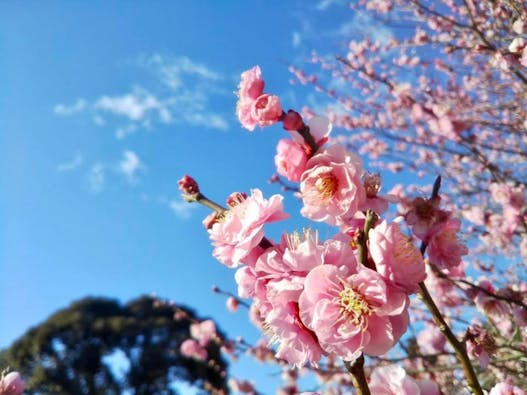 千の風みらい園