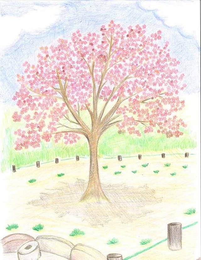 青山メモリアルパーク