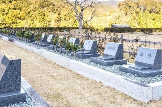 ふだらく霊園(和歌山県那智勝浦町)の概要・価格・アクセス｜和歌山の