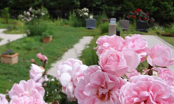 感応寺 ふれあいパーク華陵