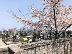 大海崎メモリアルパーク（一般墓・樹木葬・永代供養墓）の画像
