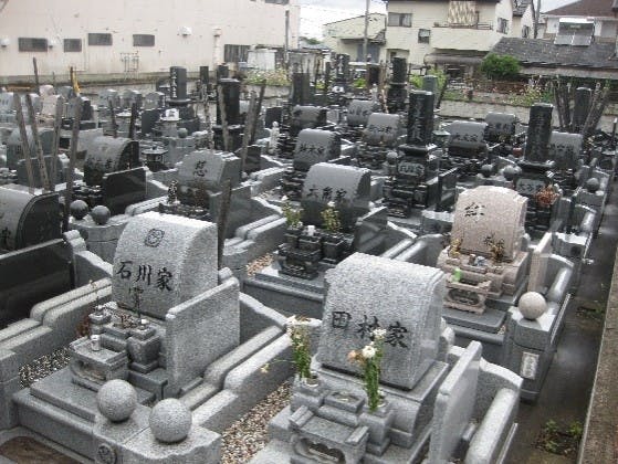 いずみ霊園の画像